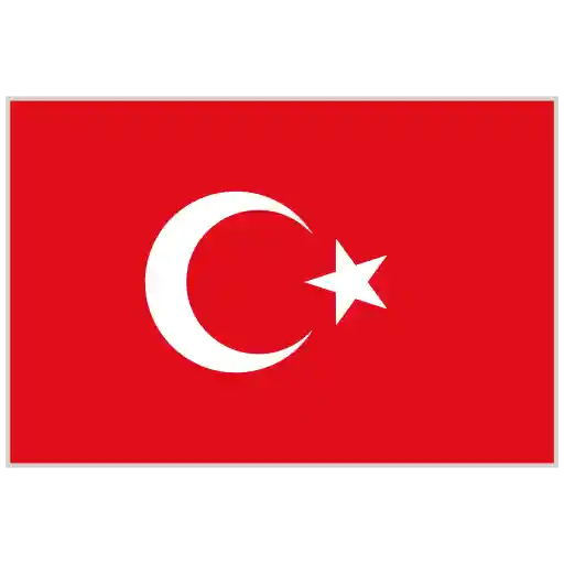 Türkçe